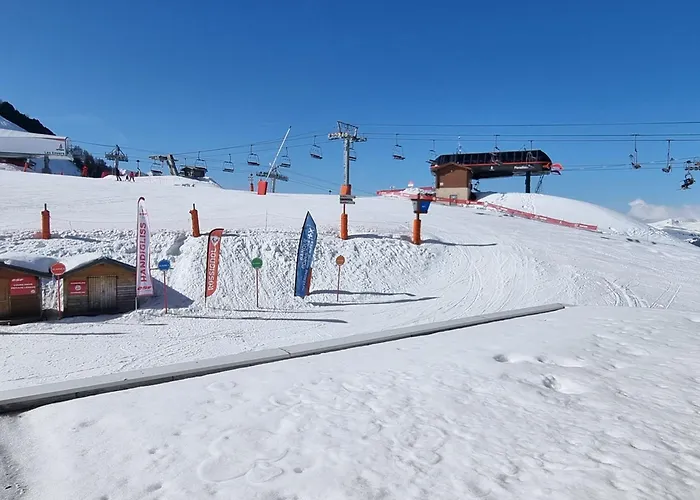 Confort Avec - Acces Direct Aux Pistes - Fr-1-181-2578 Apartment La Plagne